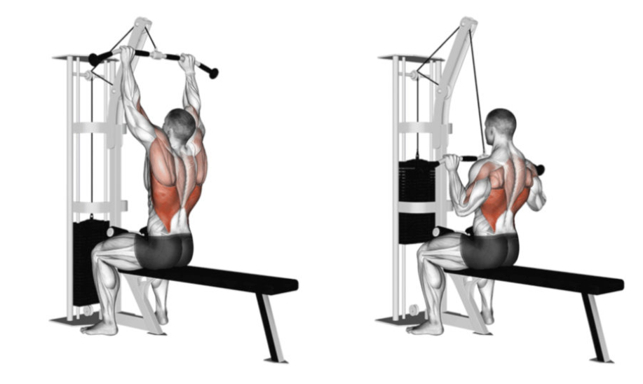 10 exercices pour votre dos à faire avec une machine