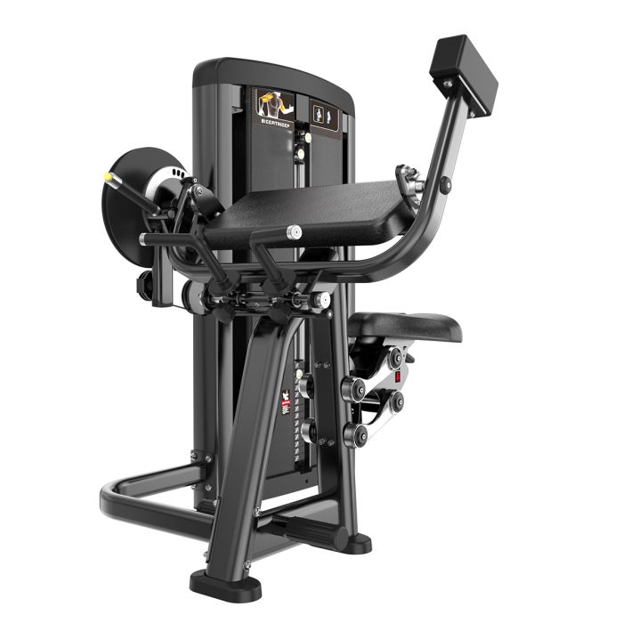 Curl de Biceps et Extension de Triceps Genesis Series