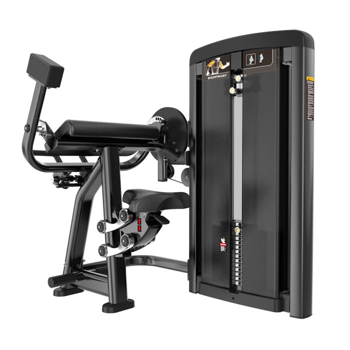 Curl de Biceps et Extension de Triceps Genesis Series