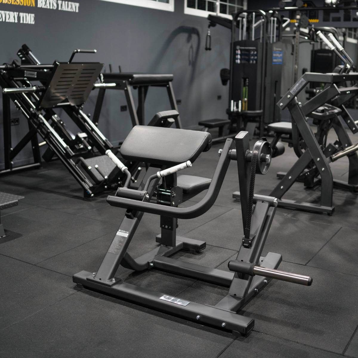 Biceps Curl avec Charge de Disques