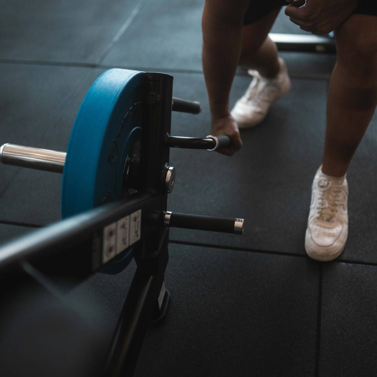 SQUAT LUNGE BLACK SERIES