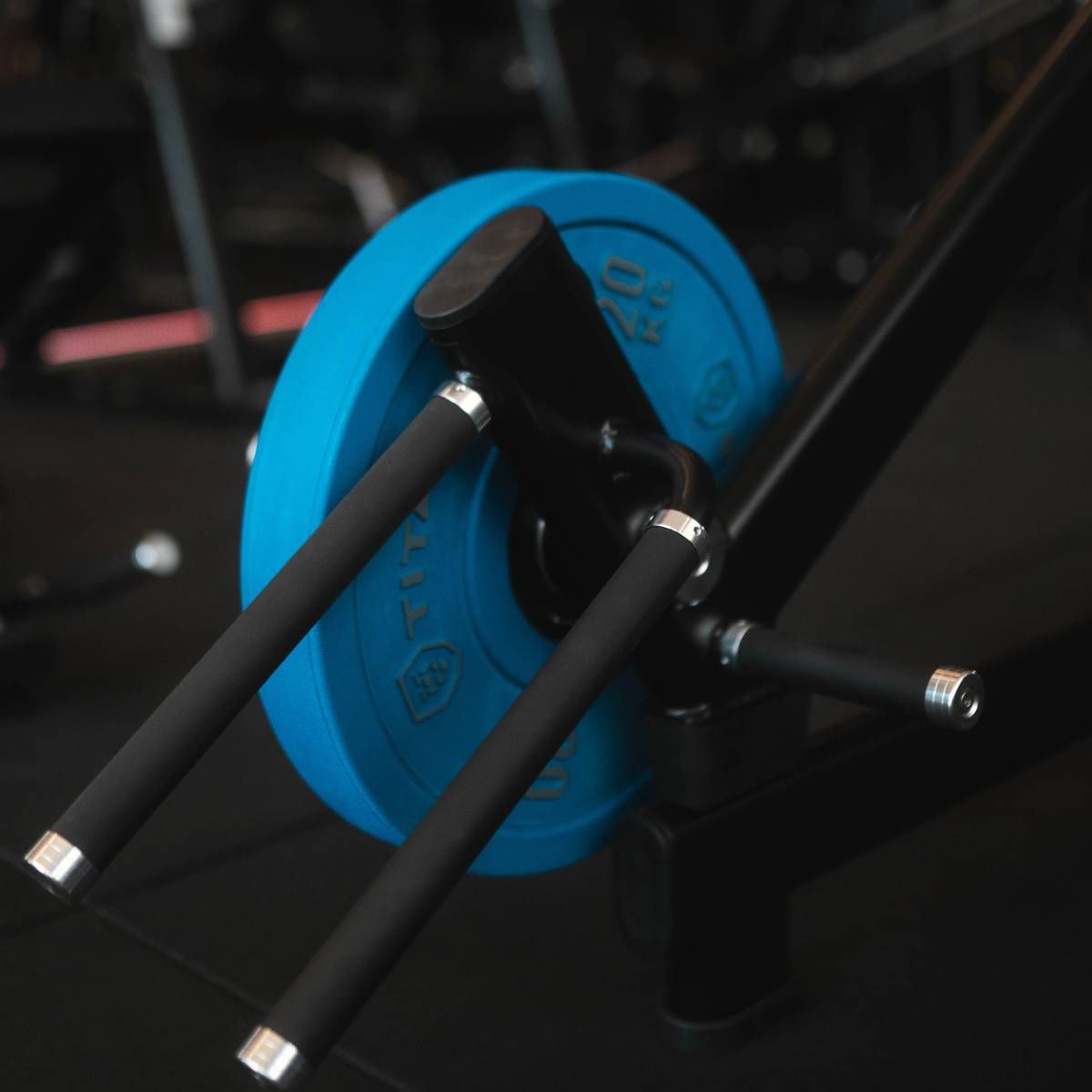 SQUAT LUNGE BLACK SERIES