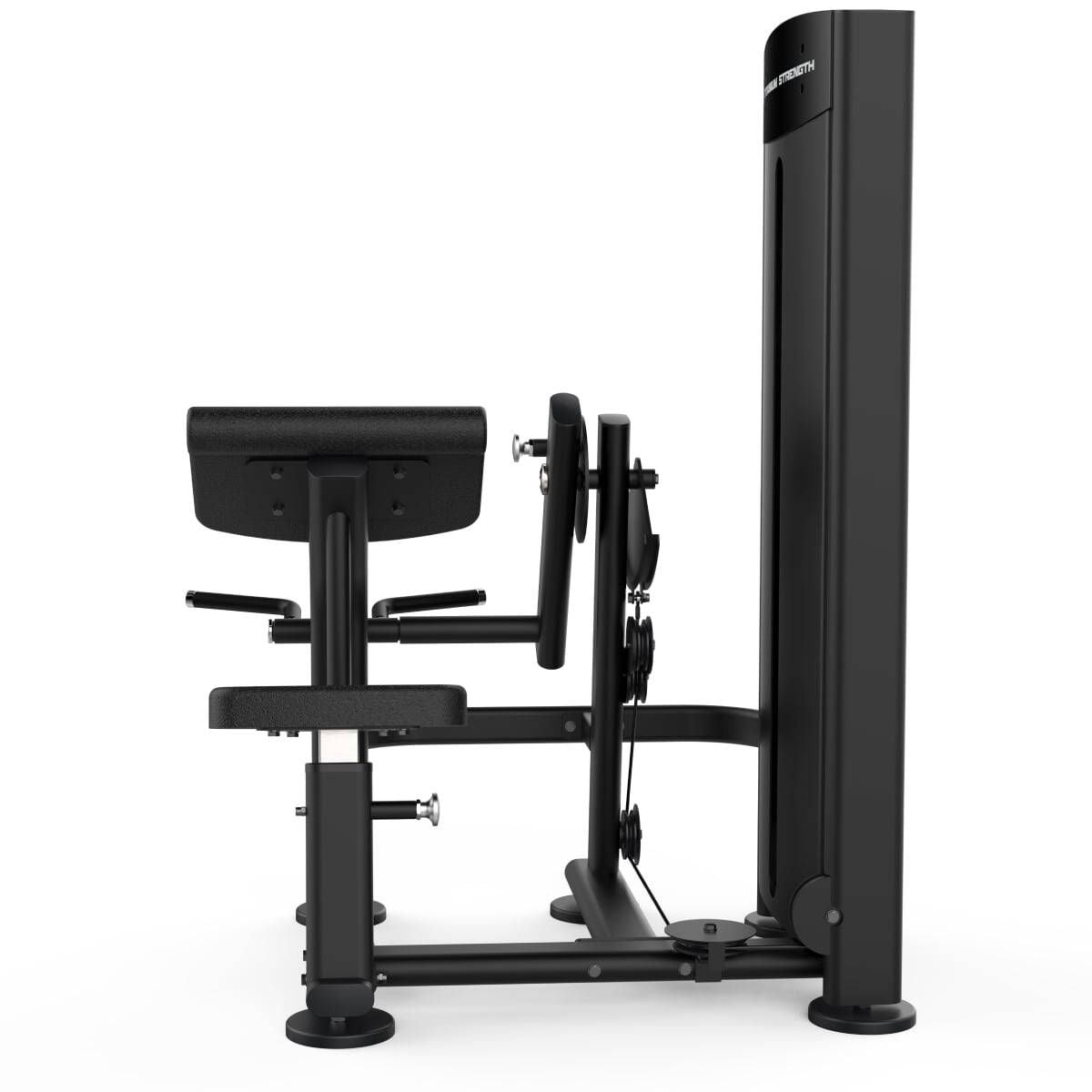 Machine Biceps Curl
