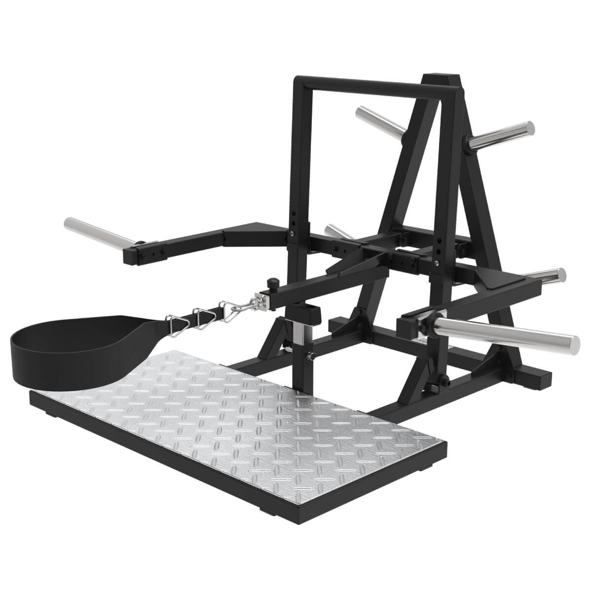 Belt Squat - Squats avec Ceinture BSQ80 TS