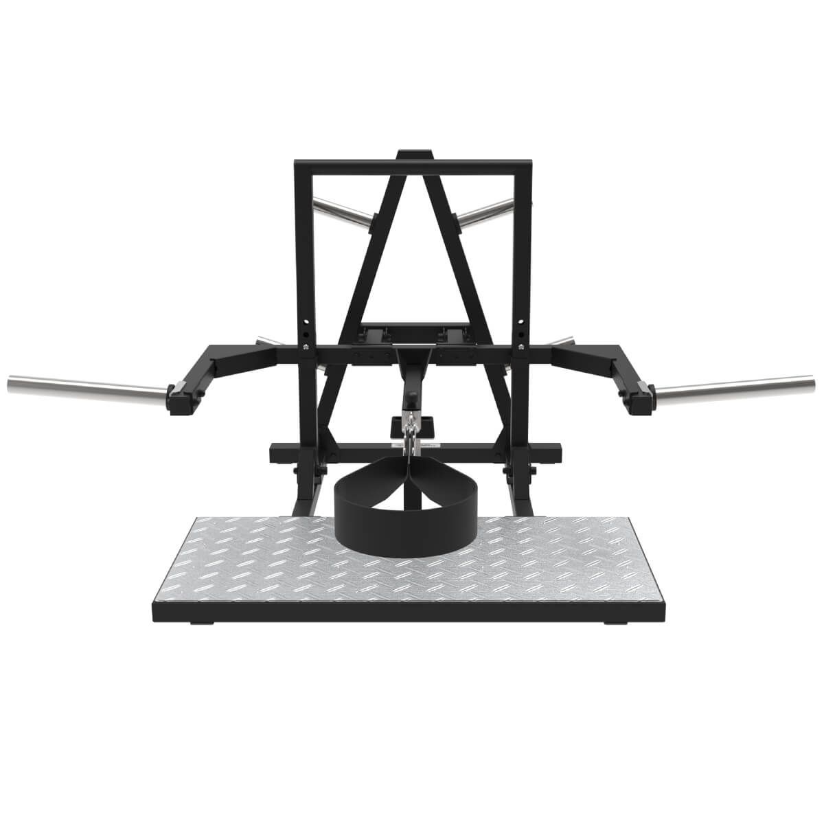Belt Squat - Squats avec Ceinture BSQ80 TS