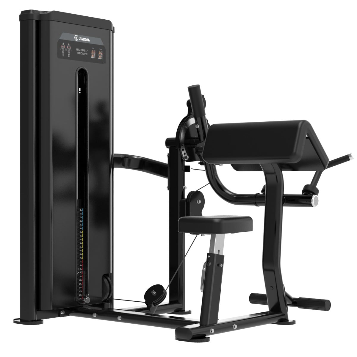 Dual Curl de Biceps et Extension de Triceps