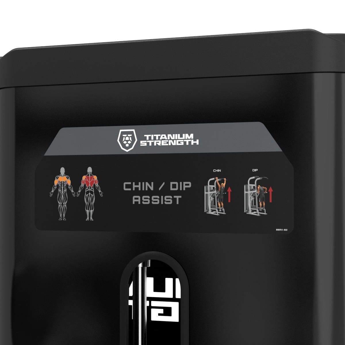 Dips et Tractions Assistées