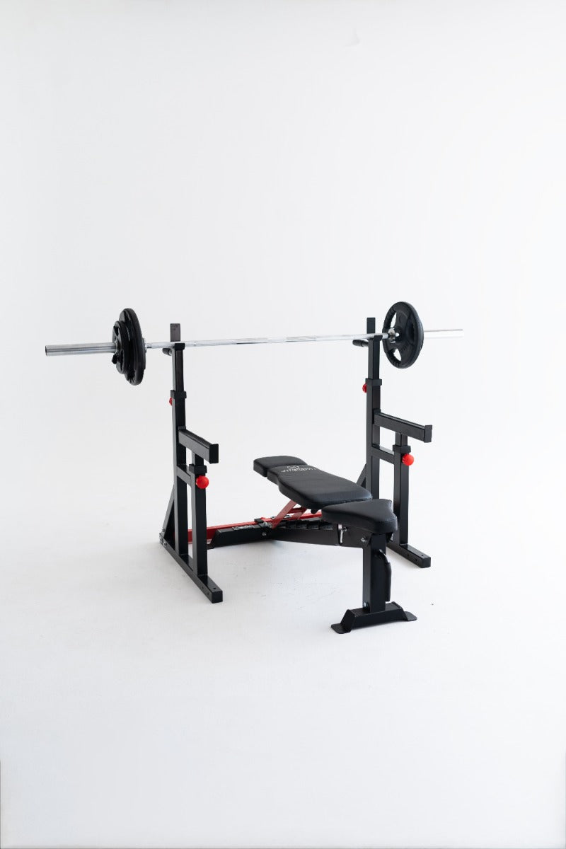 Rack Squat / Dip Stand 280RS - Titanium Strength