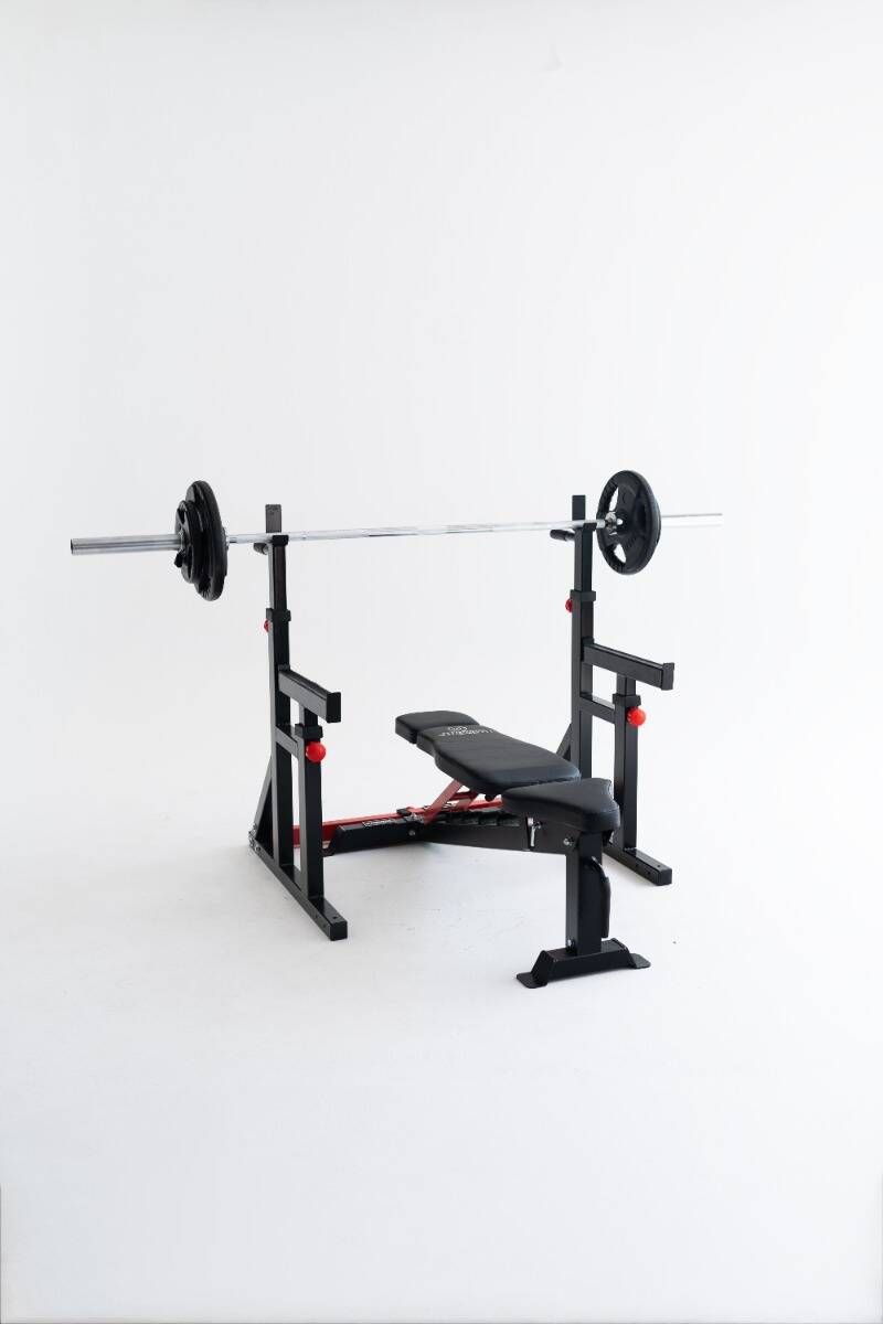 Rack Squat / Dip Stand 280RS