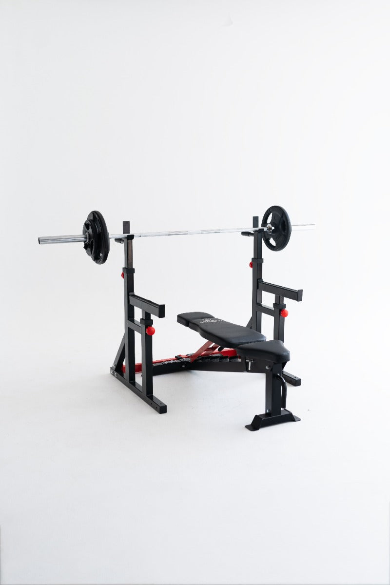 Rack Squat / Dip Stand 280RS - Titanium Strength