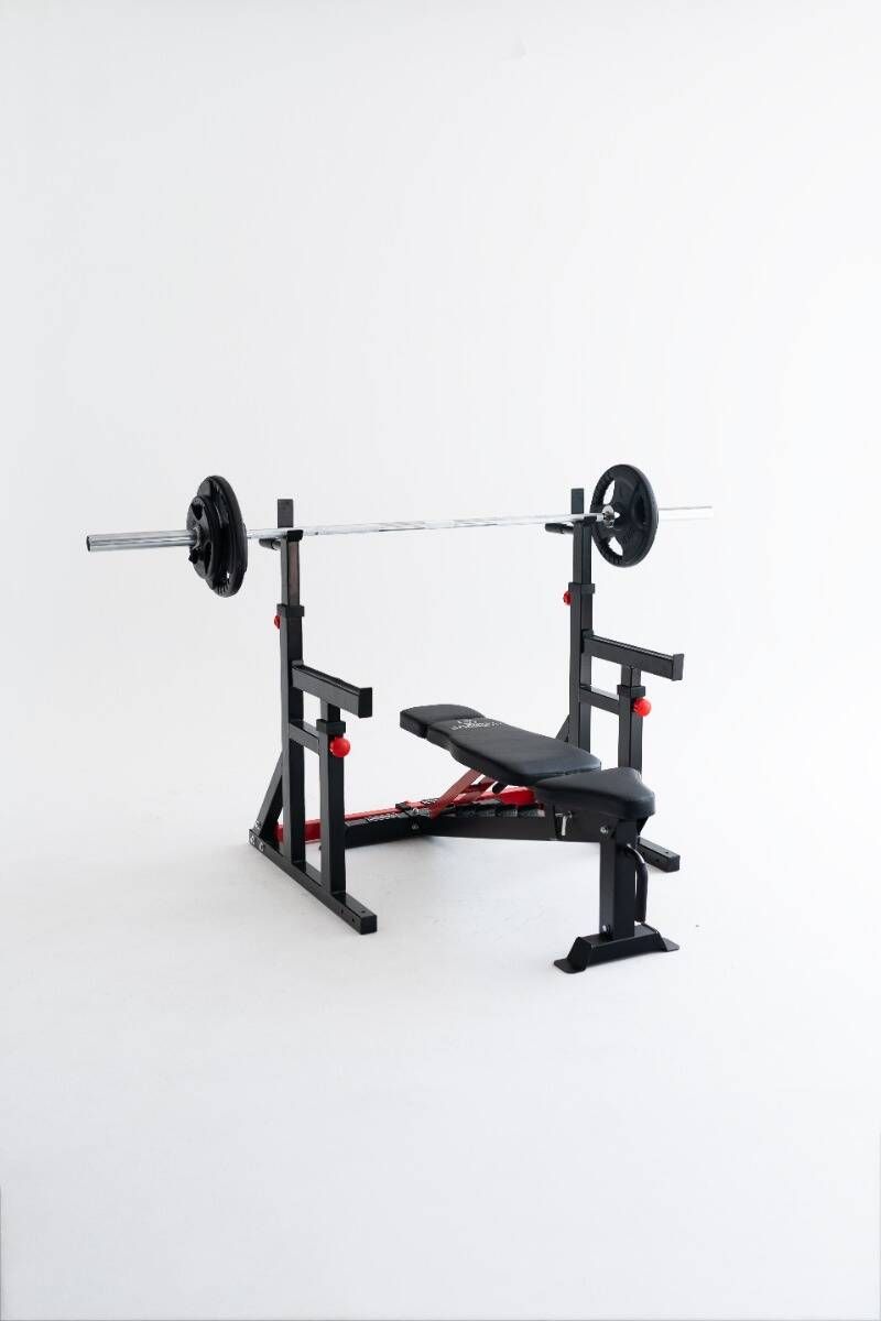 Rack Squat / Dip Stand 280RS