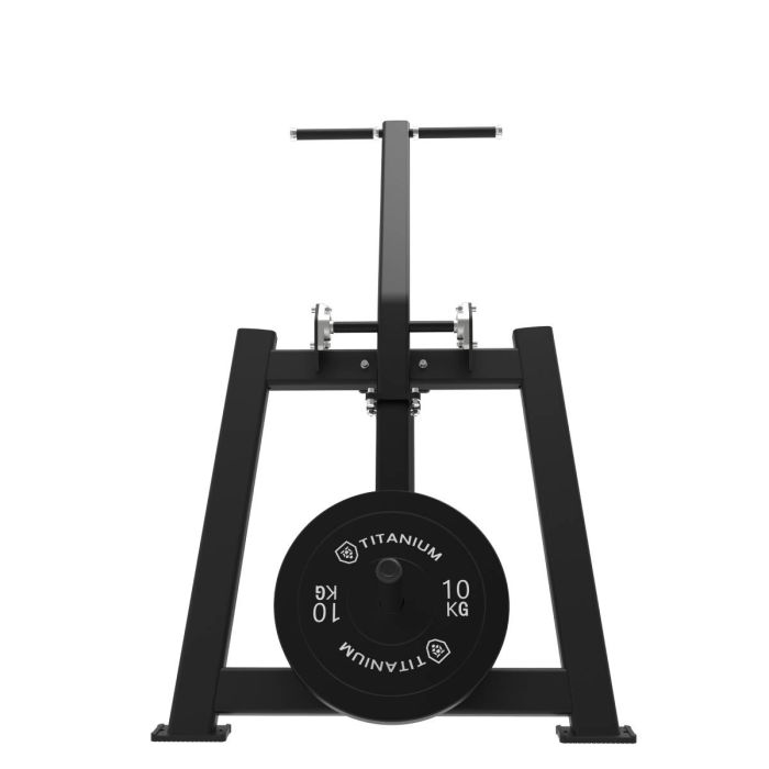 Extension Triceps Debout et Dips Elite Series