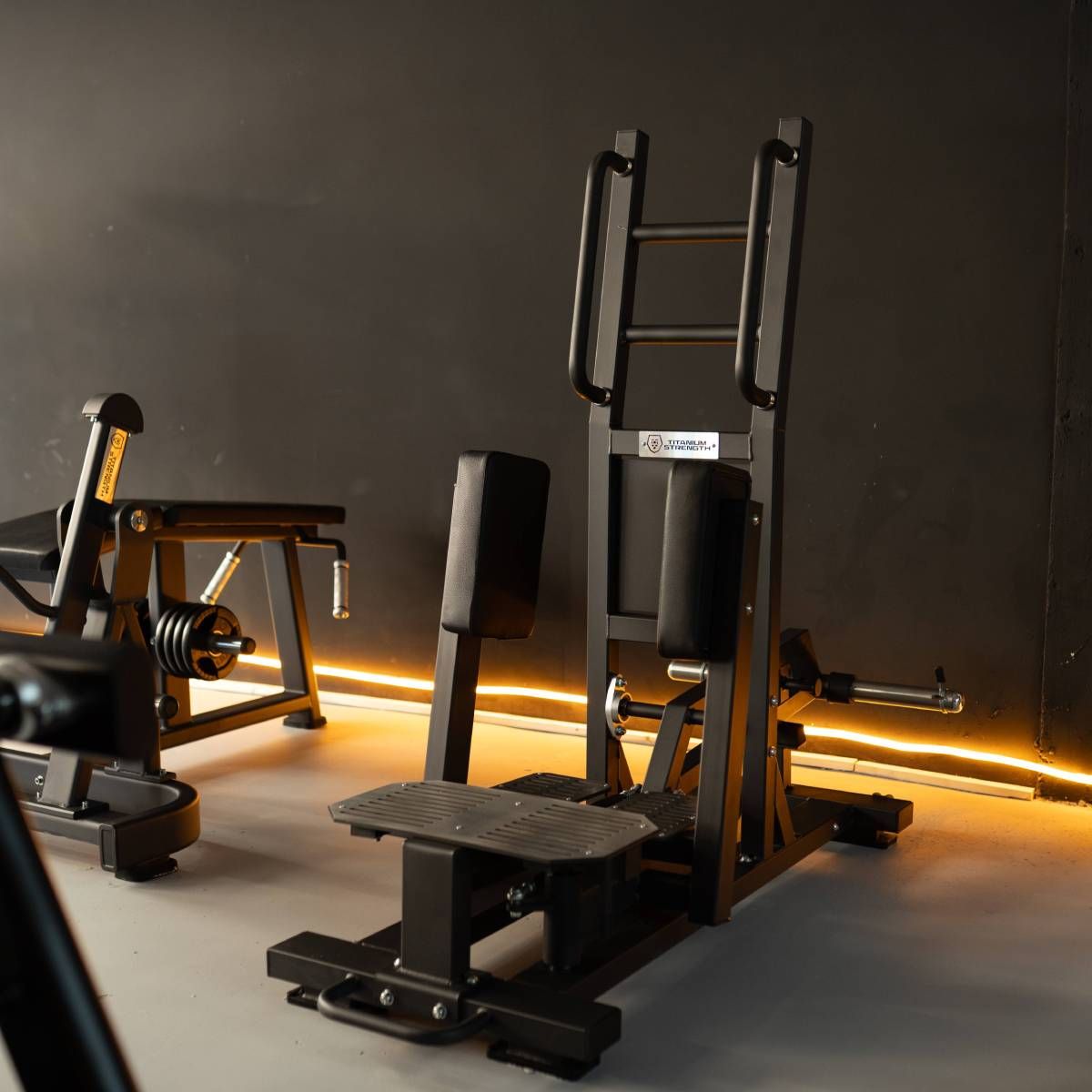 Ultimate Abductor Debout avec Charge de Disque Elite Series