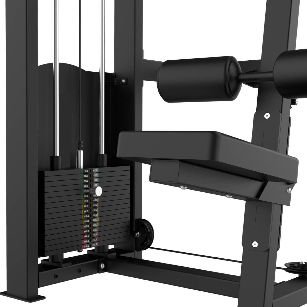 TIRAGE DORSAL ELITE SERIES