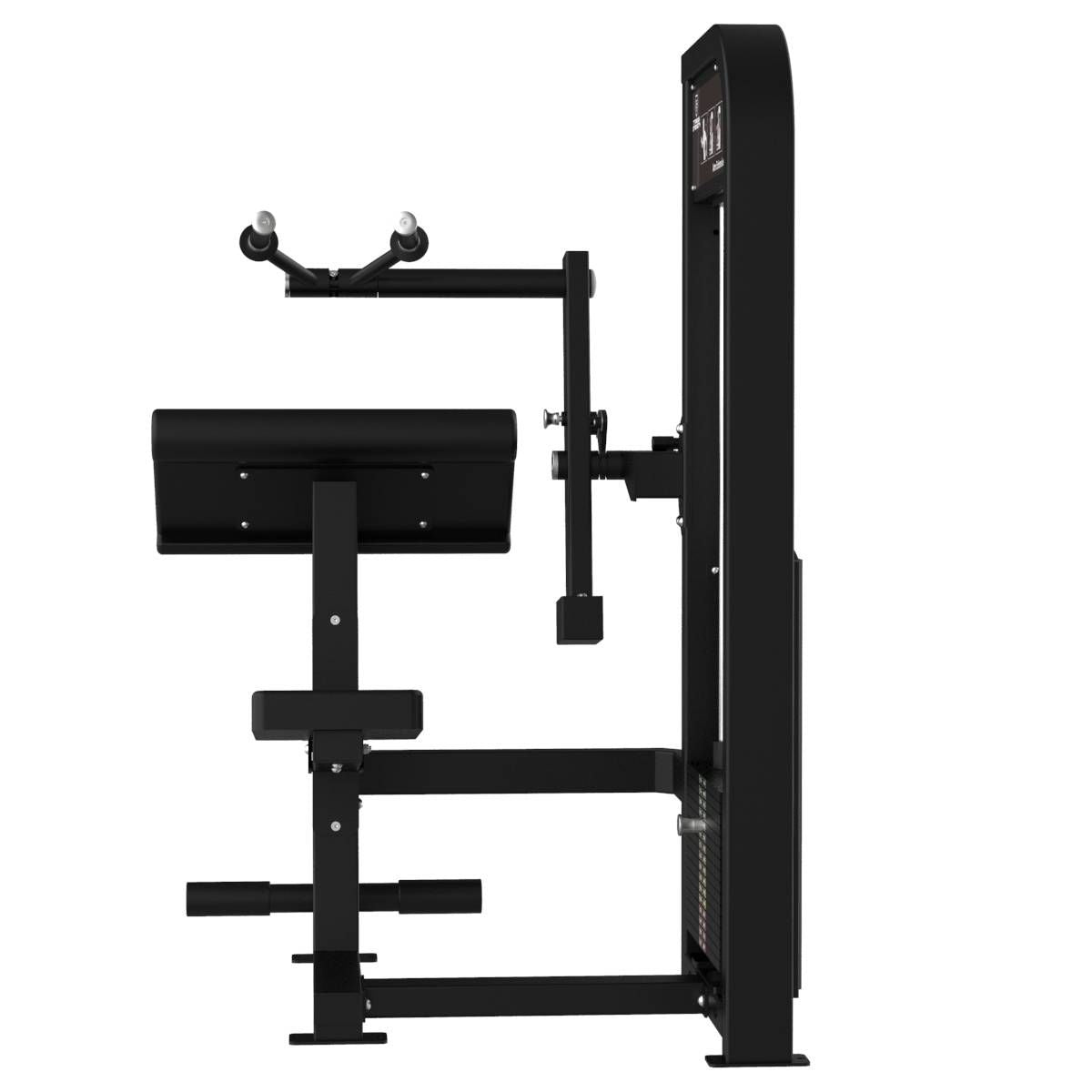 EXTENSION DES TRICEPS ELITE SERIES