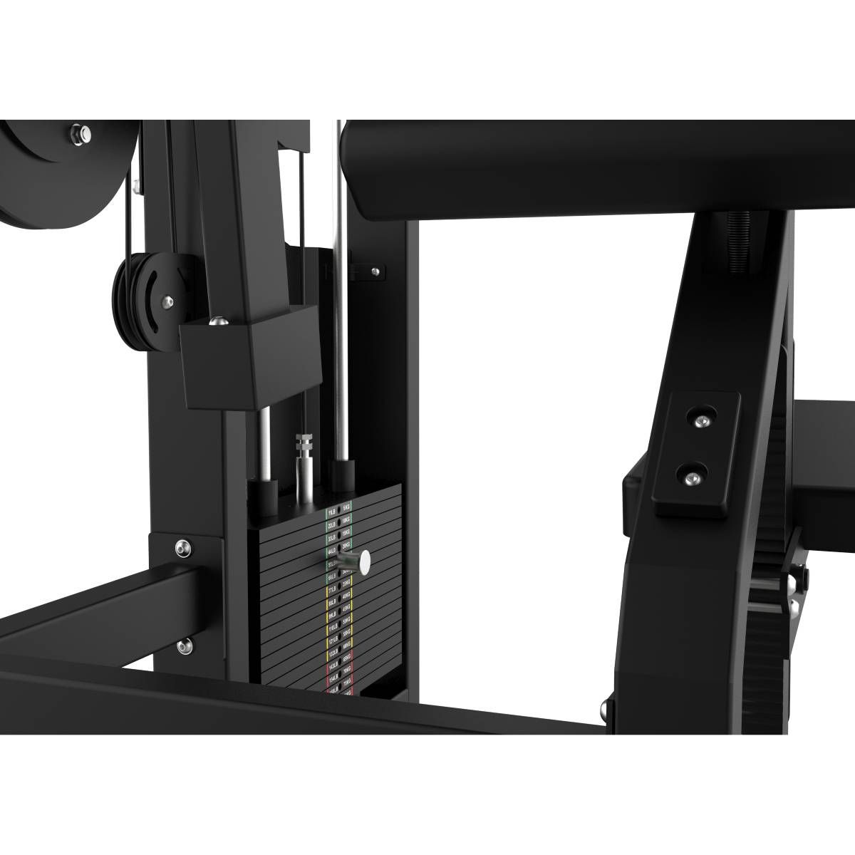 EXTENSION DES TRICEPS ELITE SERIES