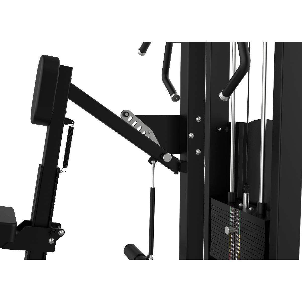 RAMEUR ASSIS ELITE SERIES