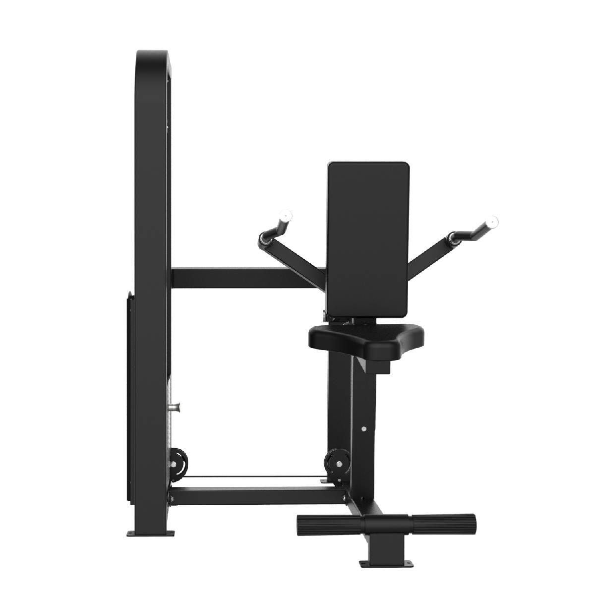 DIPS DE TRICEPS ELITE SERIES