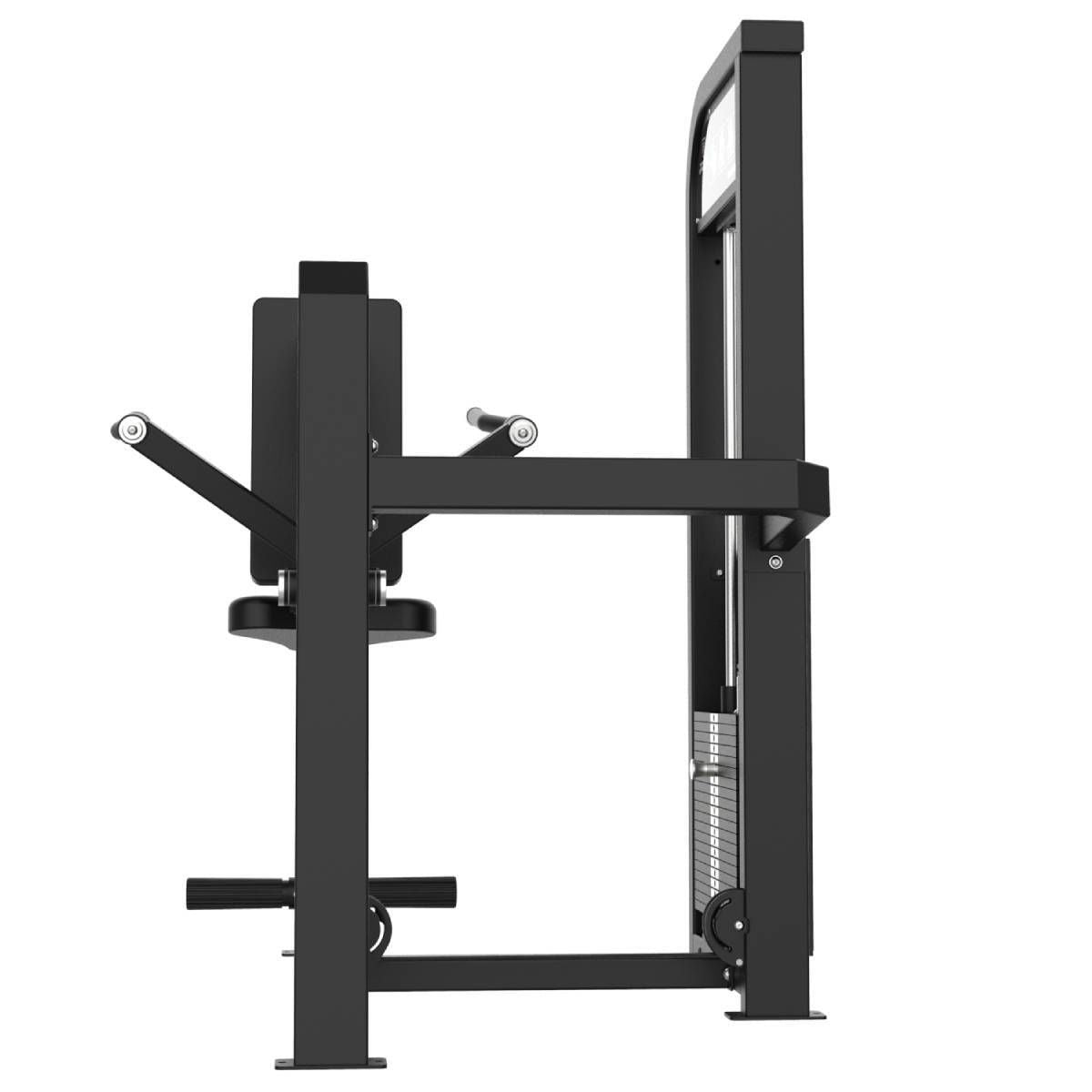 DIPS DE TRICEPS ELITE SERIES