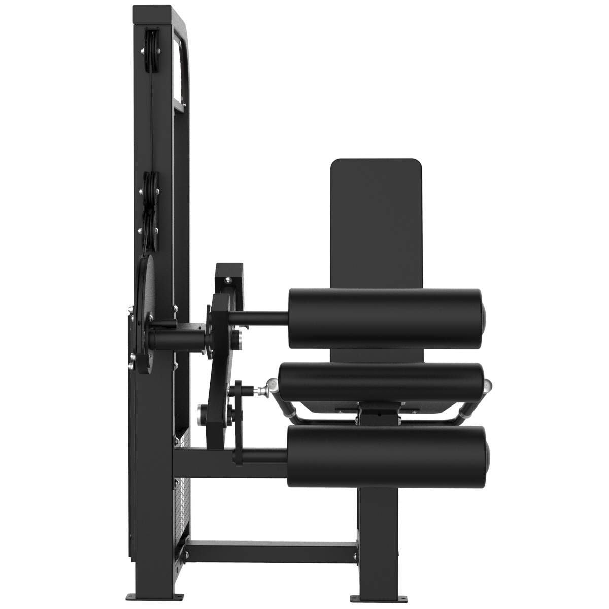 Leg Curl Assis Elite Series