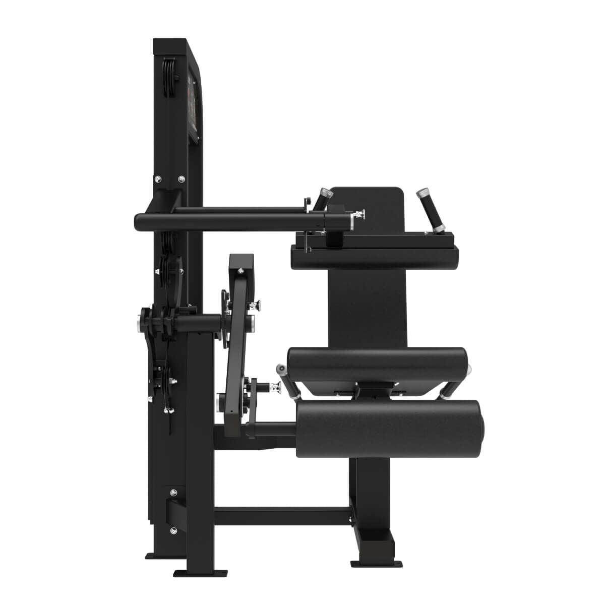 Extension des Jambes et Fémorale Assis Premium V2