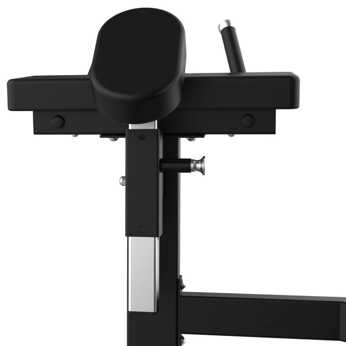 GLUTE ELITE SERIES