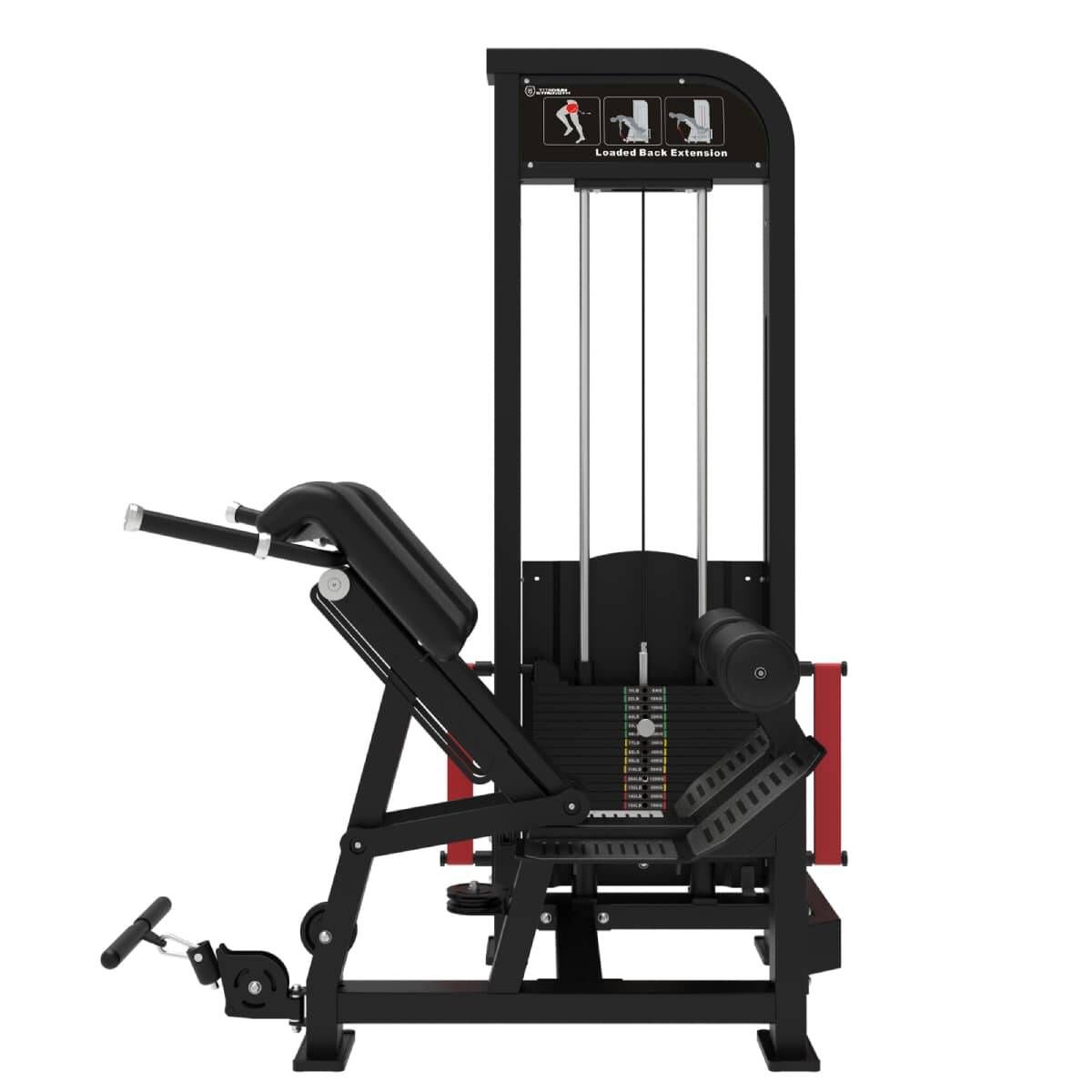 Ultimate Hyperextension Lombaire Elite Series