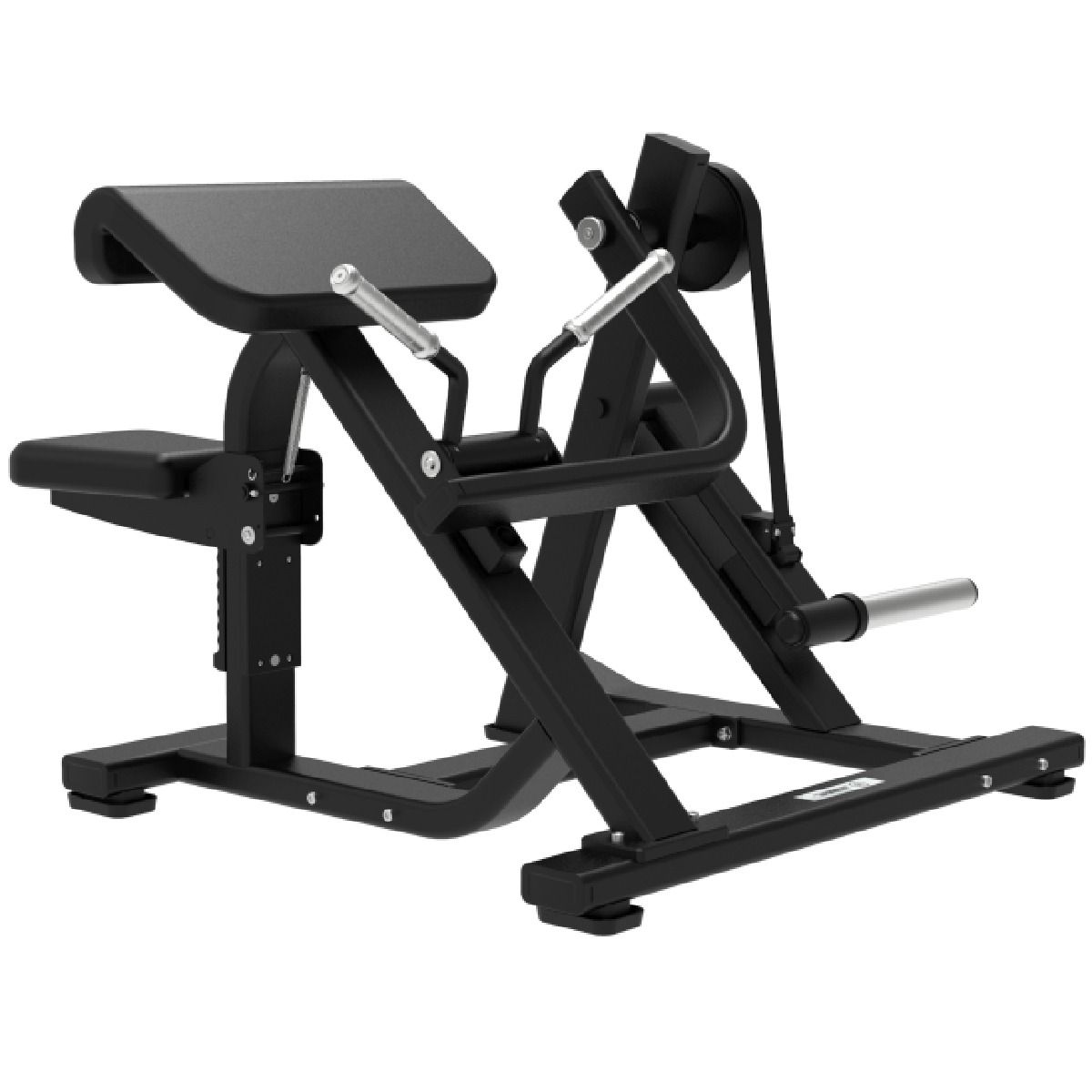 Biceps Curl avec Charge de Disques