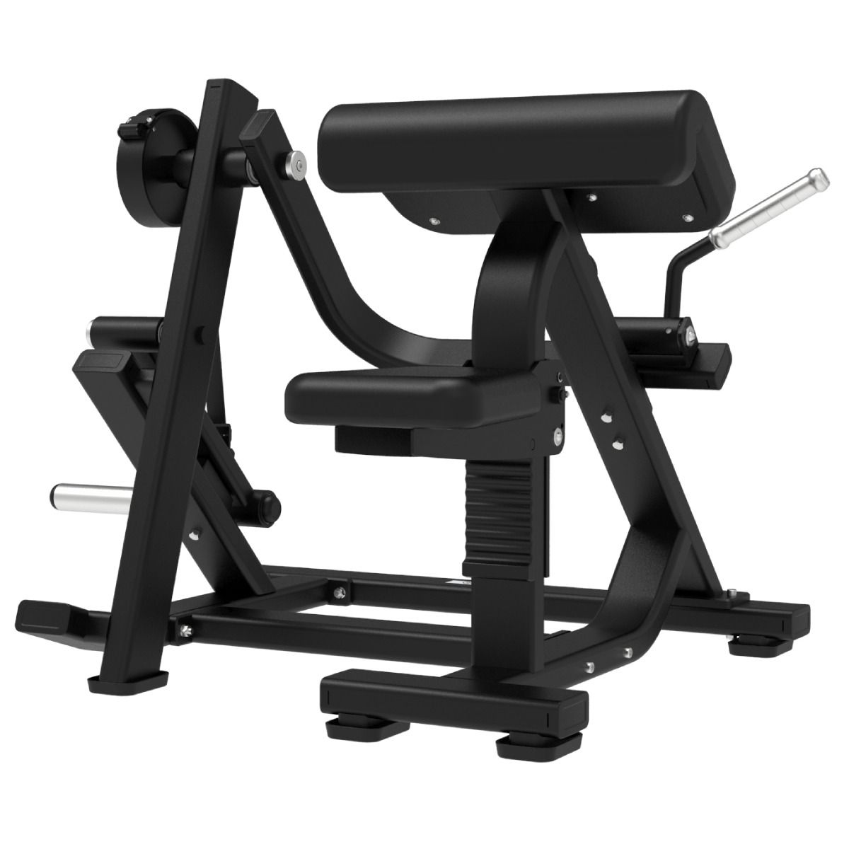 Biceps Curl avec Charge de Disques