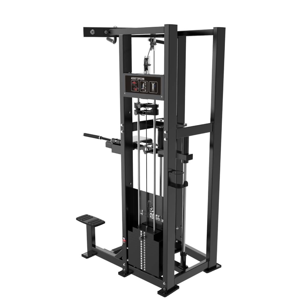Dips et Tractions Assistées