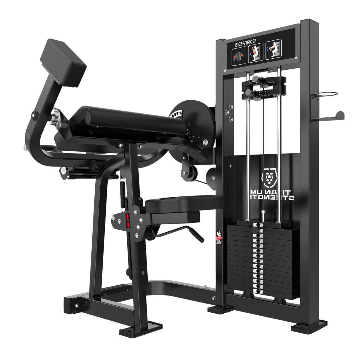 Curl de Biceps et Extension de Triceps