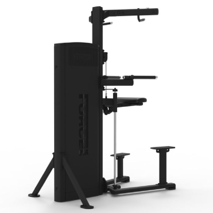 Dips et Tractions Assistées Ridge Series