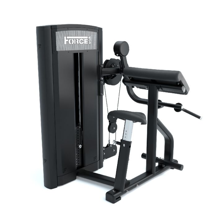 Curl de Biceps et Extension de Triceps Ridge Series