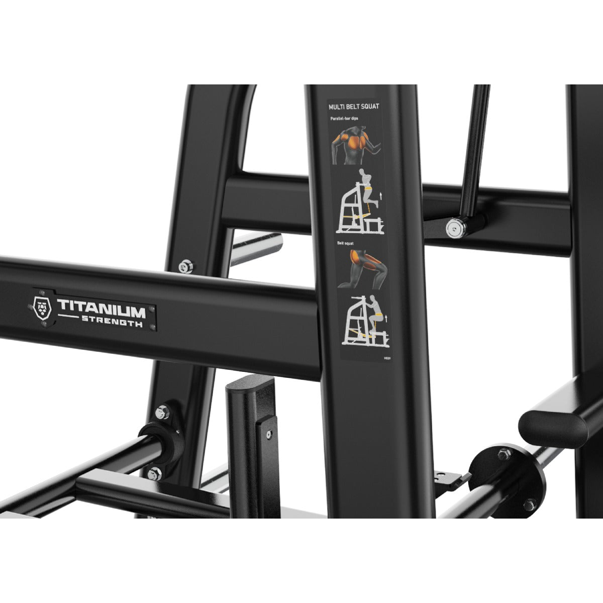 Multi Belt Squat – 2 en 1: Squat avec Ceinture + Dips Genesis Series