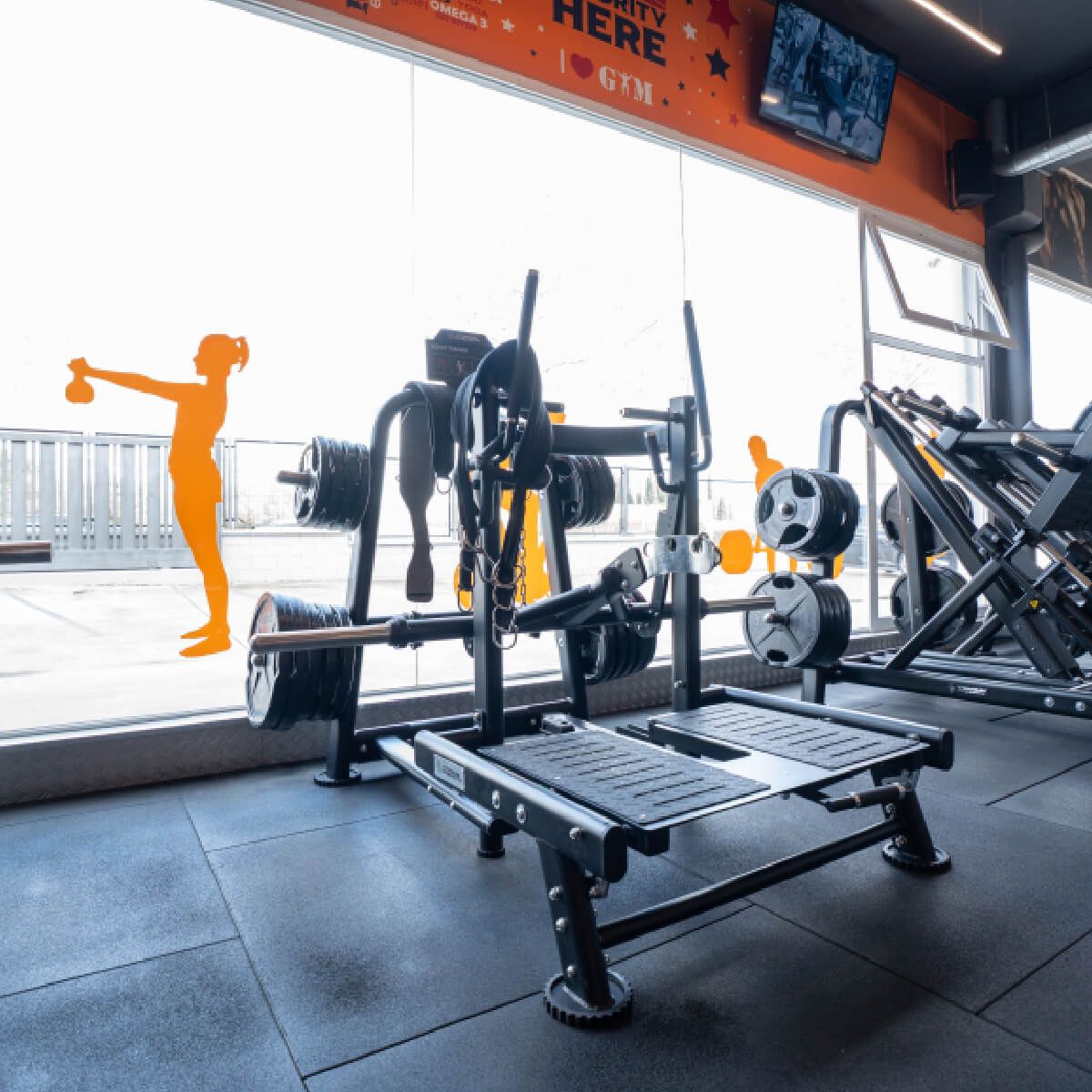 Belt Squat - Squats avec Ceinture Genesis Series