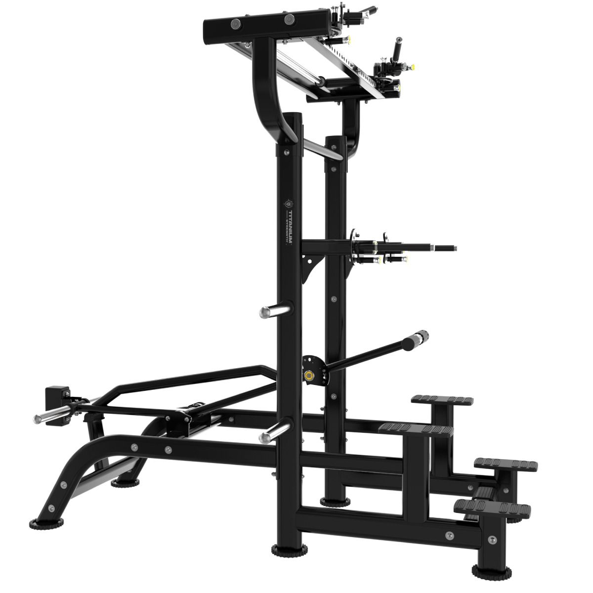 Dips et Tractions Assistées