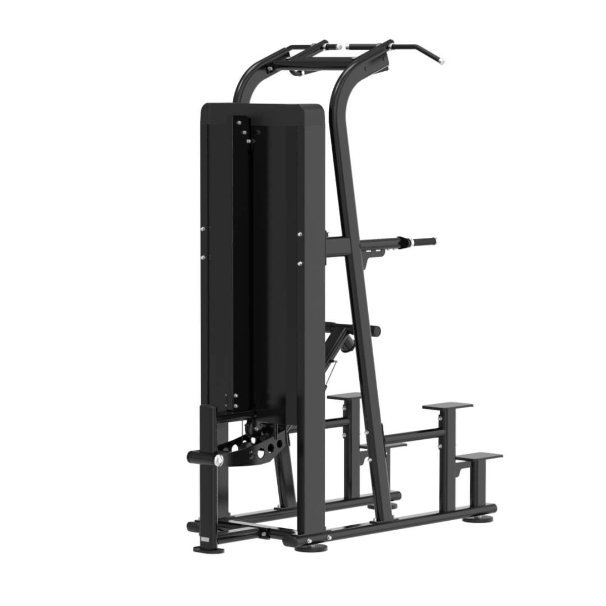 Dips et Tractions Assistées