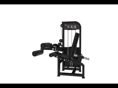 Leg Extension & Leg Curl Assis Elite Series