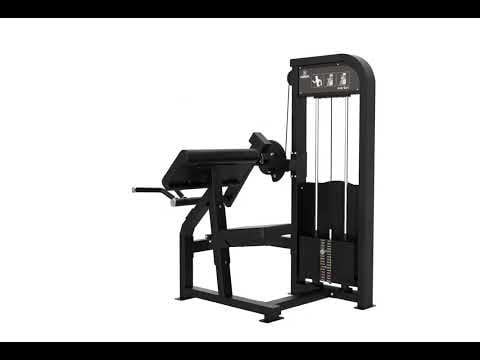 CURL DES BICEPS ELITE SERIES