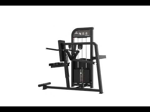 DIPS DE TRICEPS ELITE SERIES