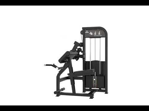 CURL DE BICEPS ET EXTENSION DE TRICEPS ELITE SERIES