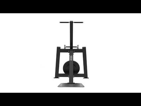 Extension Triceps Debout et Dips Elite Series