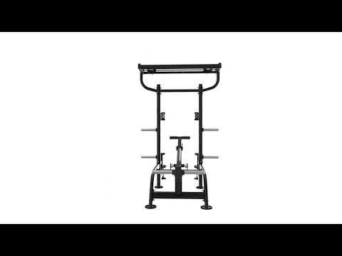 Dips et Tractions Assistées