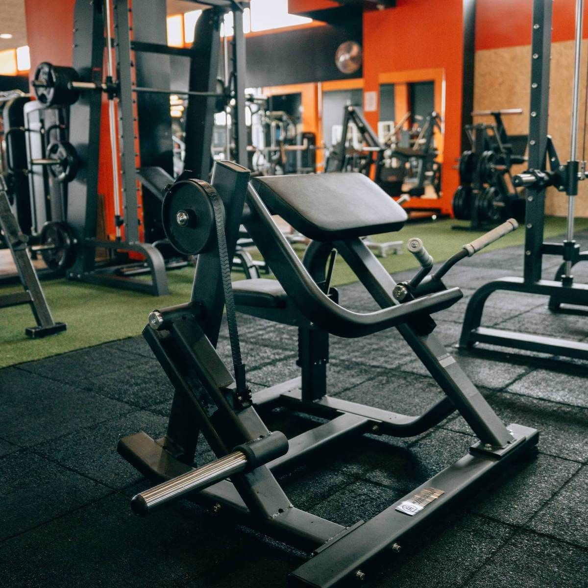 Biceps Curl avec Charge de Disques