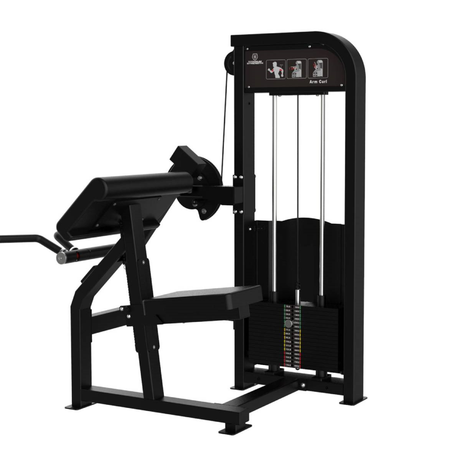 CURL DES BICEPS ELITE SERIES