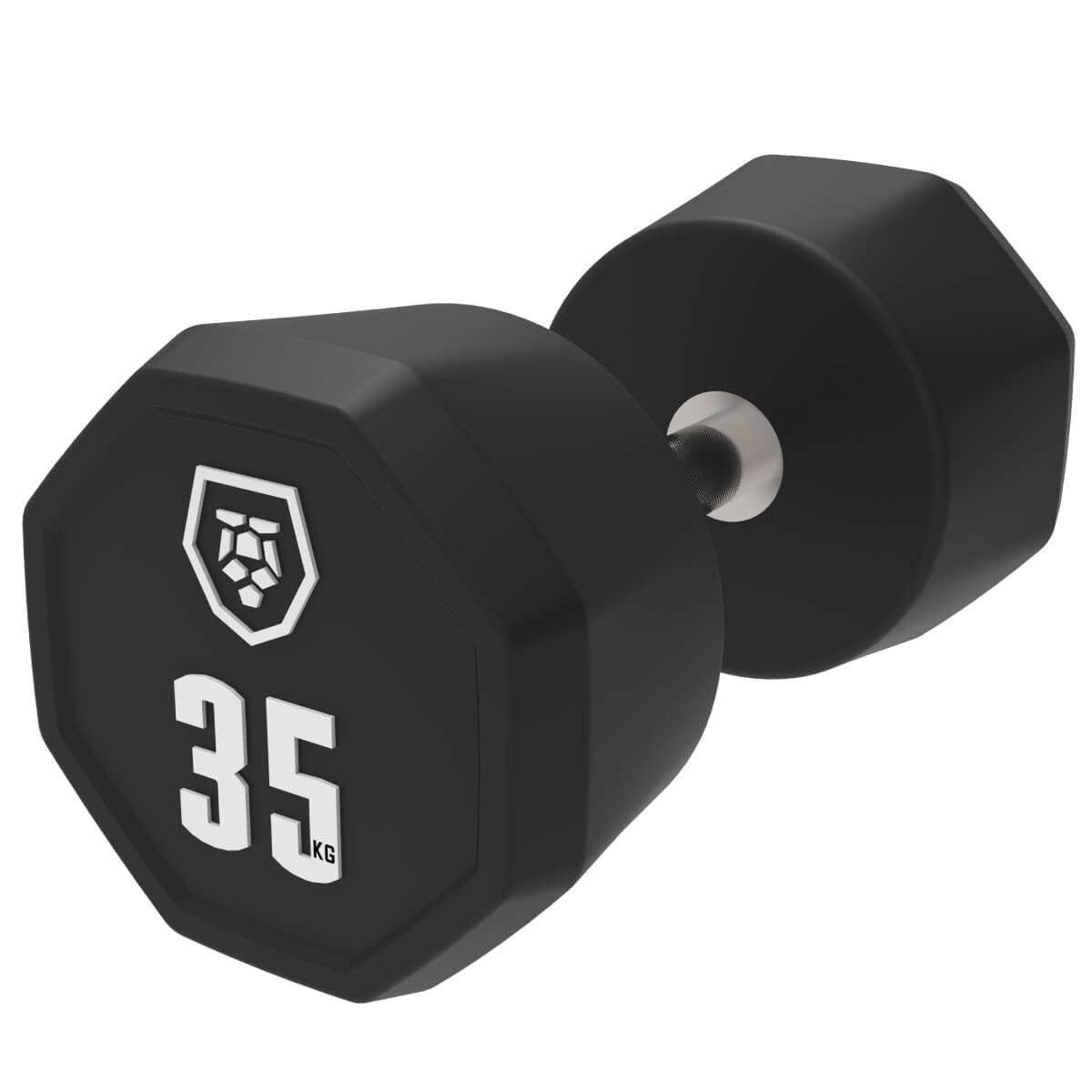 Haltères (2,5–50 kg)