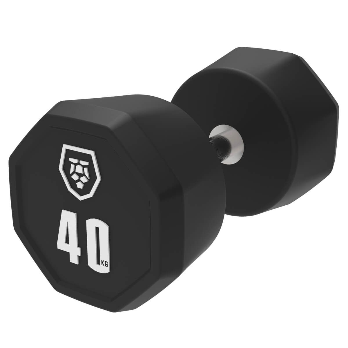 Haltères (2,5–50 kg)