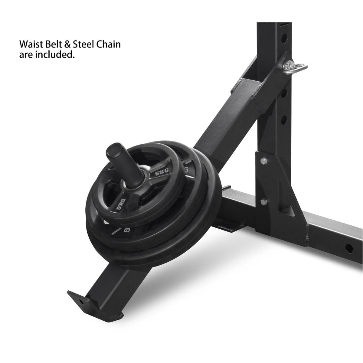 ACCESSOIRE DE BELT SQUAT POUR LES RACKS