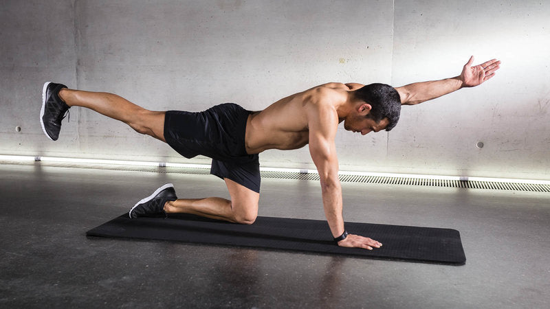 exercices musculation prévenir douleurs dos
