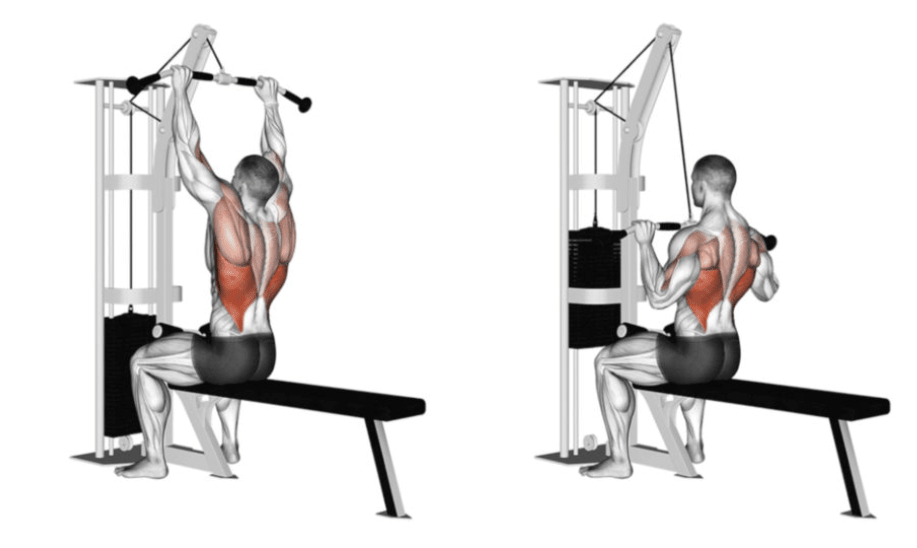 10 exercices pour votre dos à faire avec une machine